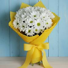 Букет цветов из:  Хризантемы в Венцах