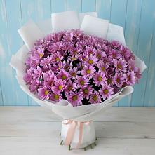 Букет цветов из:  Хризантемы в Венцах