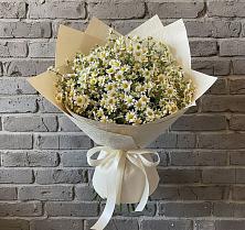 Букет цветов из:  Ромашки в Венцах