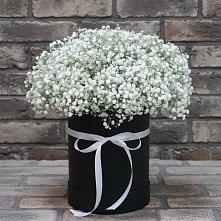 Цветочная композиция из Гипсофила в шляпной коробке в Венцах